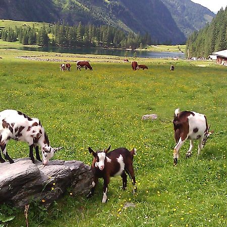 Ferienhaus Gerlinde II Kaprun Ngoại thất bức ảnh